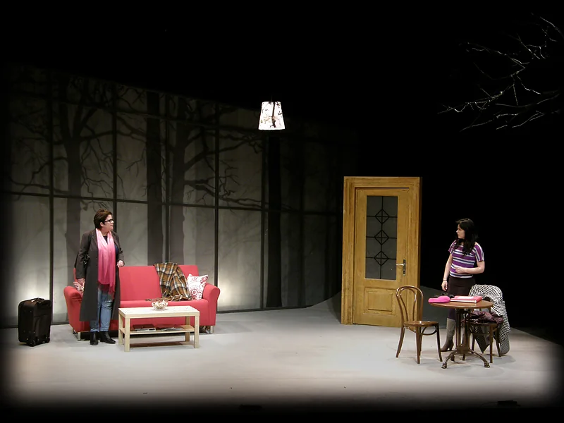 Glass Wall · Set design by Zeev Levy · Beit Lessin Theater 2011 · 2